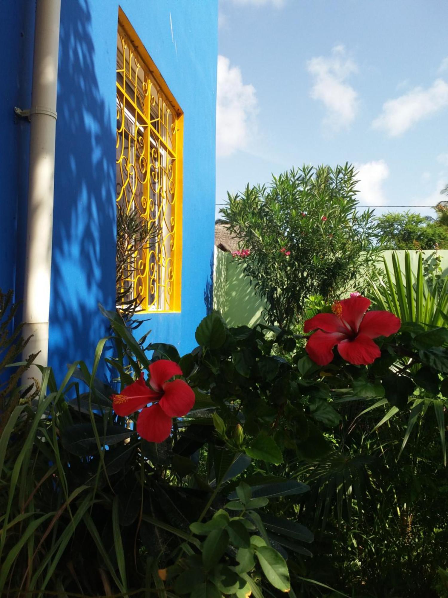 La Locanda Lodge - Apartment, 4 Double Rooms & Kitchen Near The Beach Джамбиани Экстерьер фото